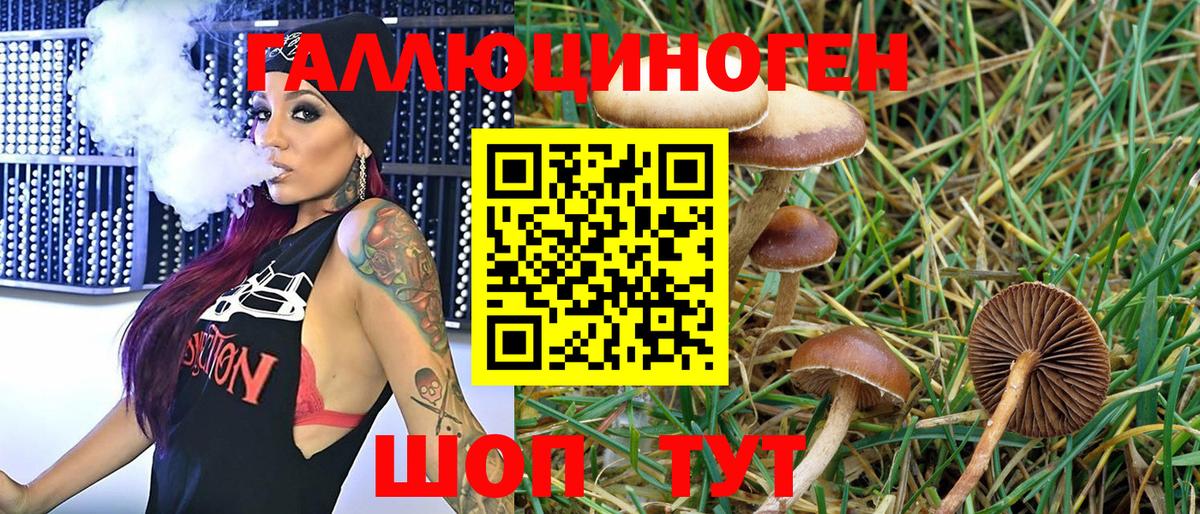Семёнов  Псилоцибиновые грибы Psilocybine cubensis  Вход с VPN 