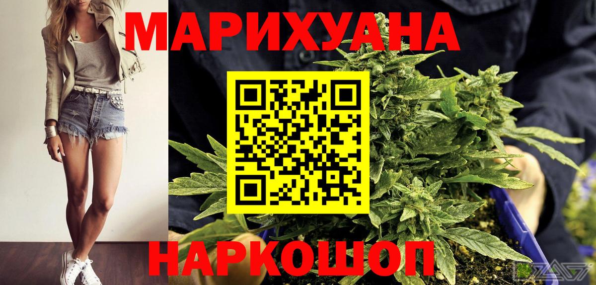 Конопля сатива Семёнов